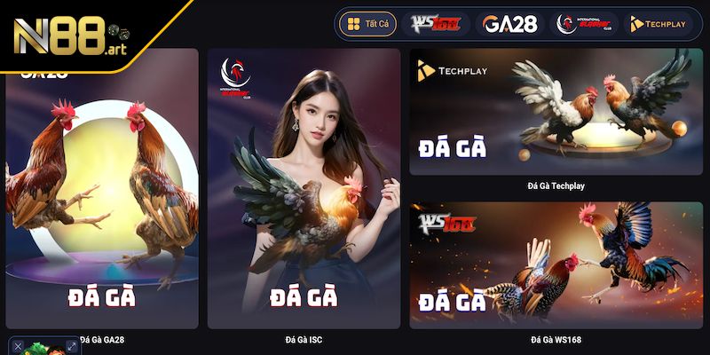 4 lý do không thể bỏ qua đá gà N88